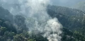 Manavgat'ta Orman Yangını Kontrol Altına Alındı