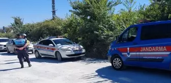 Antalya'da Kaçan Aslan Vuruldu, Bir Kişi Yaralandı