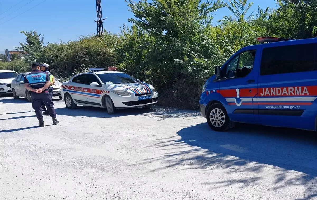Antalya'da Kaçan Aslan Vuruldu, Bir Kişi Yaralandı