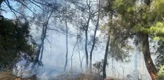 Manavgat'ta Tarım Arazisinde Yangın Çıktı