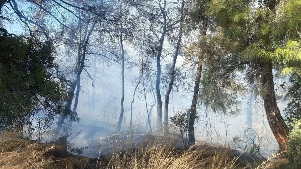 Manavgat'ta Tarım Arazisinde Yangın Çıktı