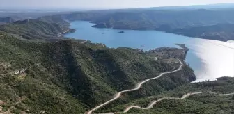 Manavgat Ormanları Yeniden Yeşeriyor: 4 Yıl Sonra İyileşme Süreci