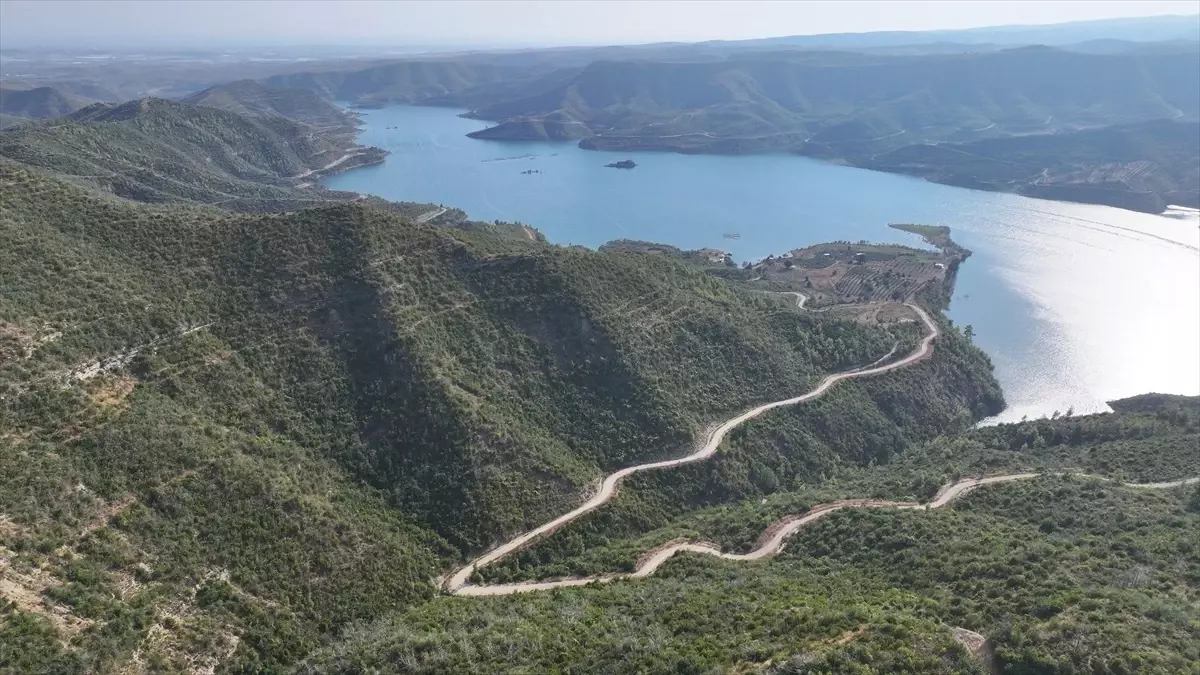 Manavgat Ormanları Yeniden Yeşeriyor: 4 Yıl Sonra İyileşme Süreci