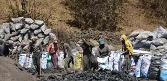 Muş'ta Mangal Kömürü Üreten İşçilerin Zorlu Mücadelesi