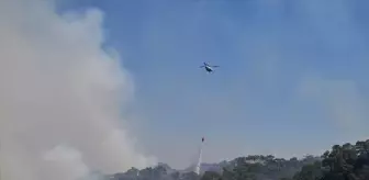 Manisa'da Orman Yangınlarıyla Mücadele Planı Başarıyla Uygulanıyor