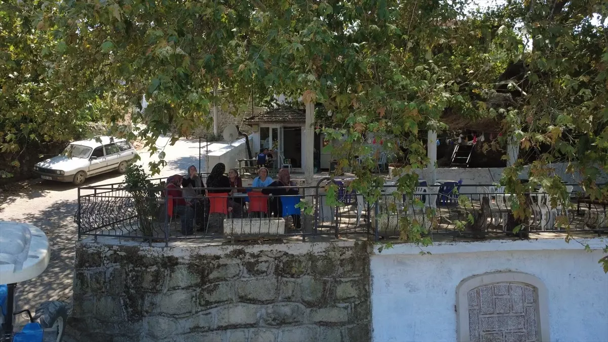Asırlık Çınar Ağacının Altında Çay Keyfi