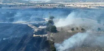 Manisa'nın Kula ilçesinde buğday tarlasında yangın