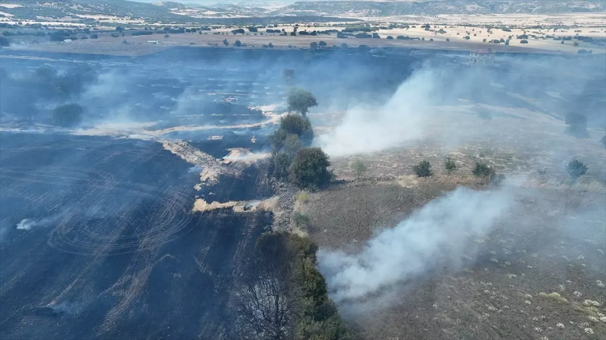 Manisa'nın Kula ilçesinde buğday tarlasında yangın