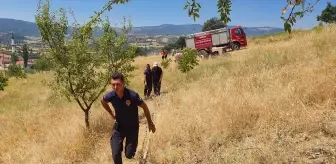 Manisa'da Orman Yangını Kontrol Altına Alındı