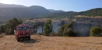 Manisa'da Orman Yangını Kontrol Altına Alındı