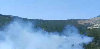 Manisa'nın Soma İlçesinde Orman Yangınına Hava ve Kara Müdahalesi