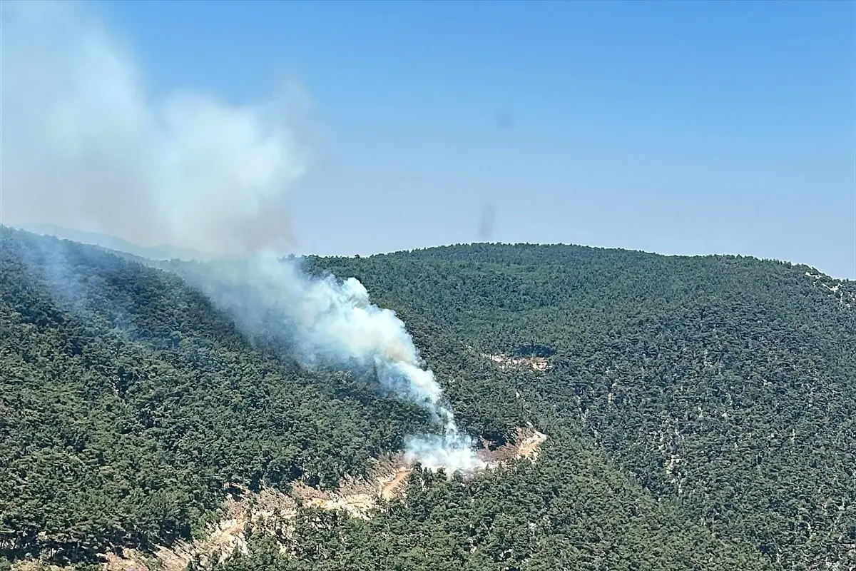 Manisa'da Orman Yangınına Havadan ve Karadan Müdahale