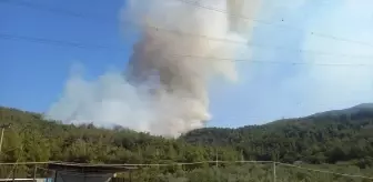 Manisa'da Orman Yangınına Müdahale Başladı