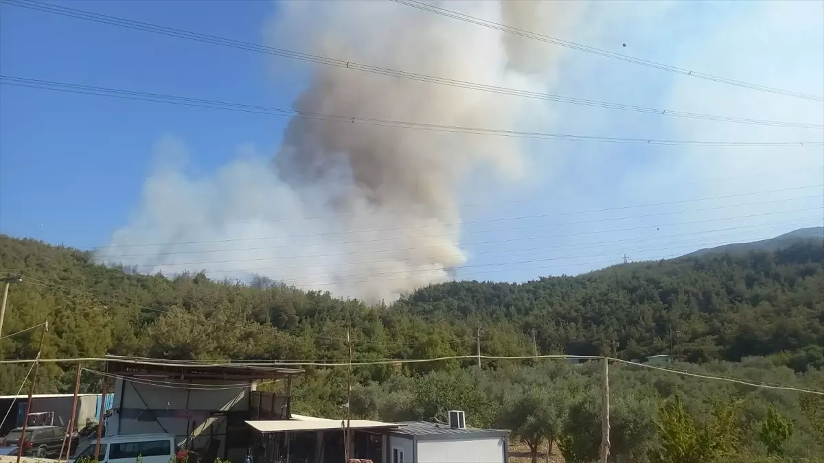 Manisa'da Orman Yangınına Müdahale Başladı