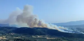 Manisa Kırkağaç'ta Orman Yangınına Müdahale Devam Ediyor