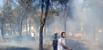 Manisa'da Otluk Alanda Yangın Çıktı