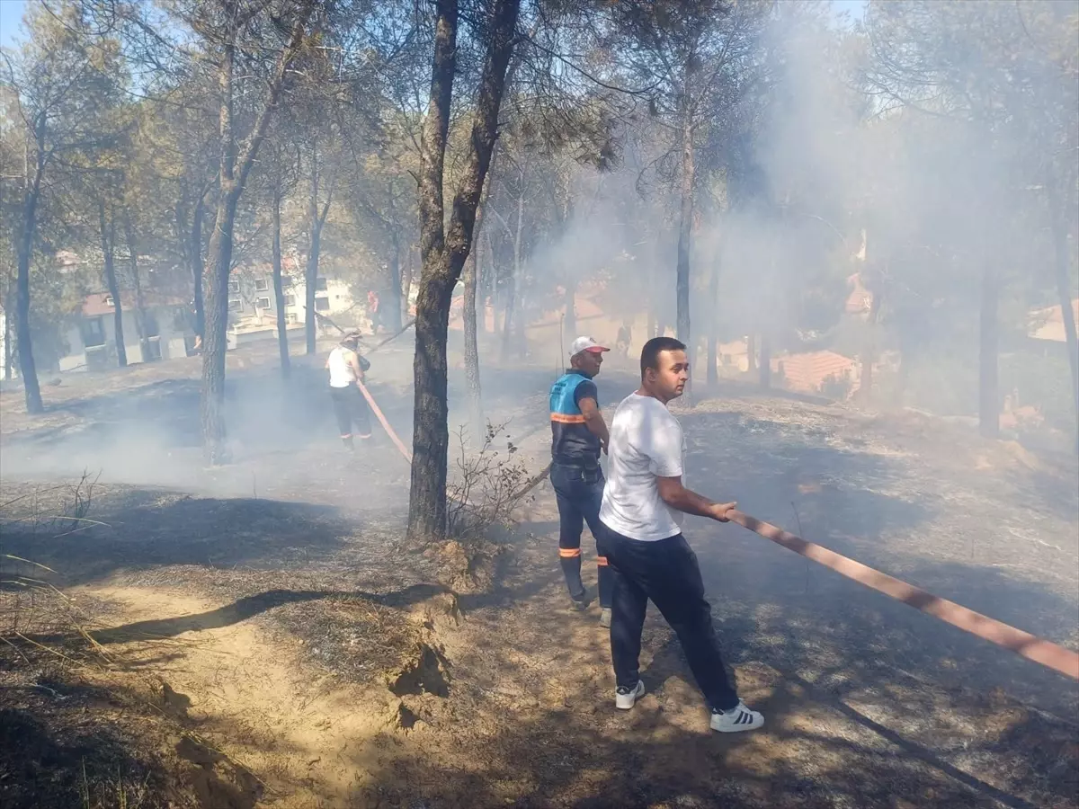 Manisa'da Otluk Alanda Yangın Çıktı