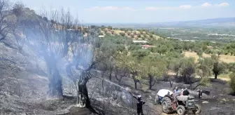 Manisa Turgutlu'daki Tarım Arazisinde Yangın Kontrol Altına Alındı