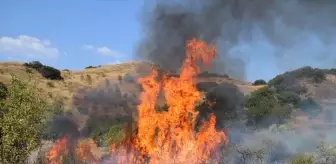Turgutlu'da Tarım Arazisinde Yangın Kontrol Altına Alındı