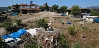 Manisa'da yıllardır aynı direğe yuva yapan leylekler için enerji hattının yeri değiştirildi