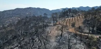 Manisa'daki Orman Yangınları Havadan Görüntülendi