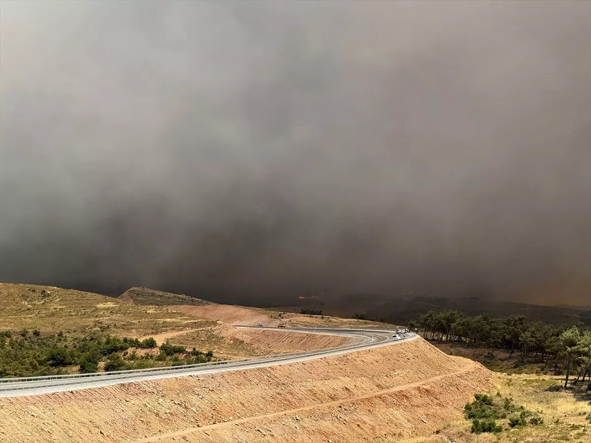 Manisa'daki Orman Yangınına Hava ve Kara Müdahalesi Devam Ediyor
