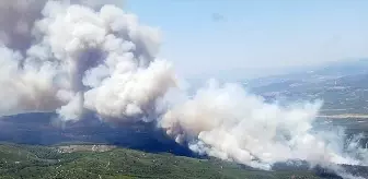 Akhisar'da Orman Yangını: Havadan ve Karadan Müdahale Ediliyor