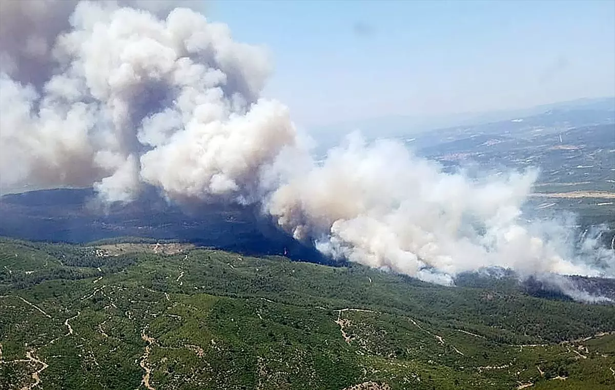 Akhisar'da Orman Yangını: Havadan ve Karadan Müdahale Ediliyor