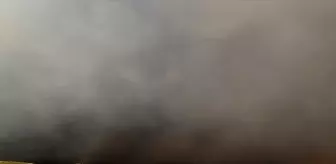 Akhisar'daki Orman Yangınına Hava ve Karadan Müdahale Devam Ediyor