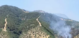Manisa'da Orman Yangınına Hava ve Karadan Müdahale