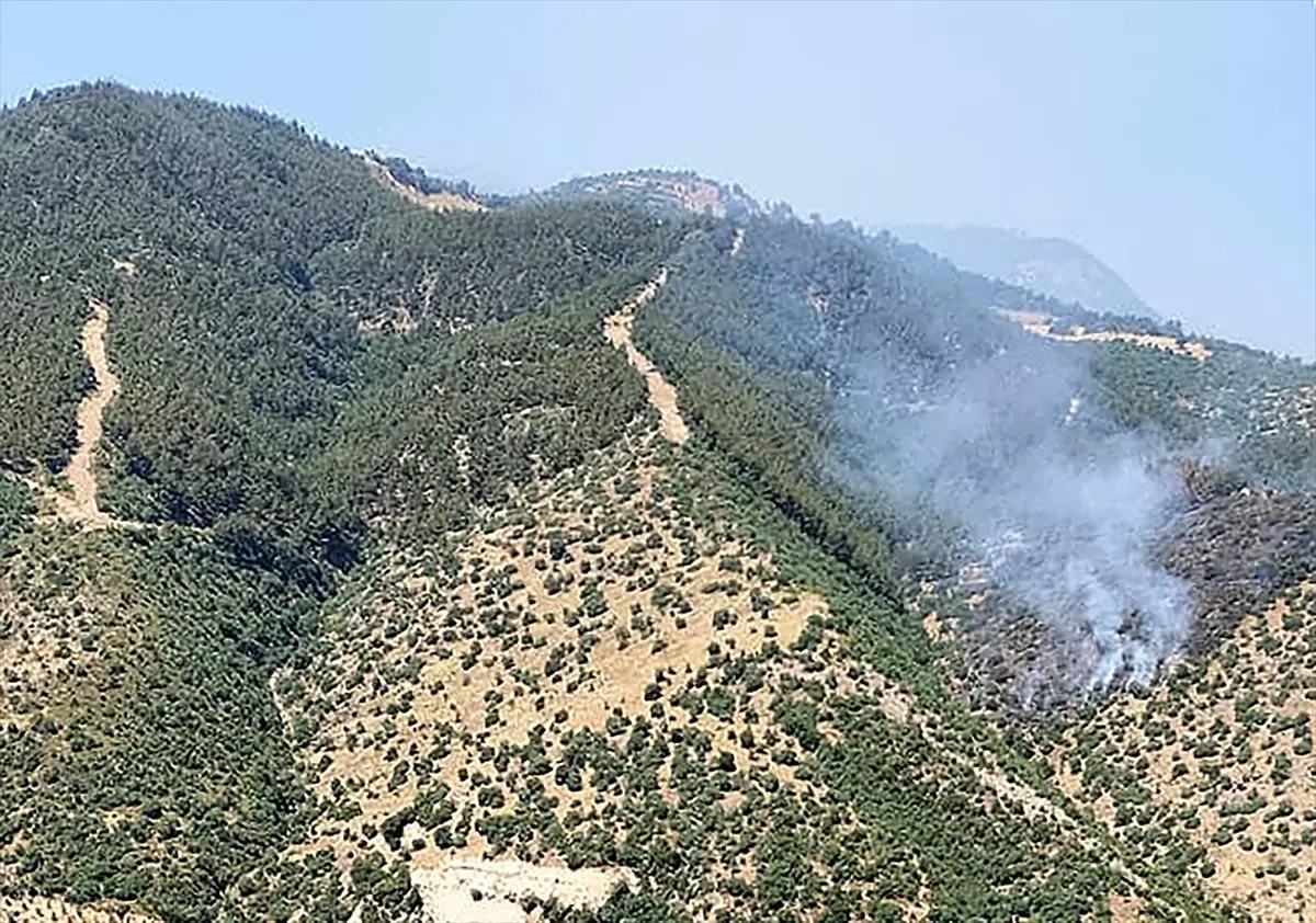 Manisa'da Orman Yangınına Hava ve Karadan Müdahale