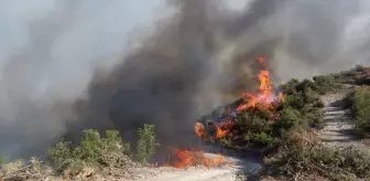 Manisa Kula'da Orman Yangınına Müdahale Devam Ediyor