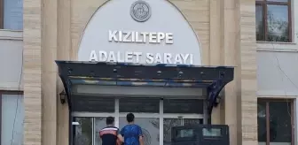 Mardin'de Anız Yakan Kişi Gözaltına Alındı