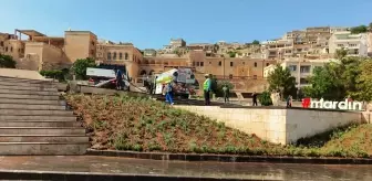 Mardin'de Lavanta Dikimi ile Yeşil Alanlar Zenginleştiriliyor