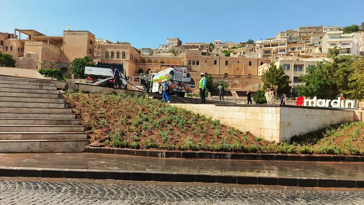 Mardin'de Lavanta Dikimi ile Yeşil Alanlar Zenginleştiriliyor