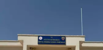 Kızıltepe'de Hayvanların Kısırlaştırılması Üzerine Uygunsuz Paylaşım Yapan Kişi Gözaltına Alındı