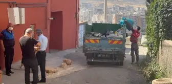 Mardin'de Bir Evden 2 Kamyon Çöp Çıkarıldı