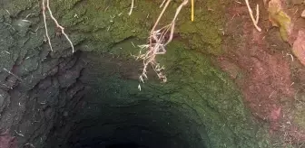 Kızıltepe'de Kuyuya Düşen Koyun İtfaiye Ekiplerince Kurtarıldı