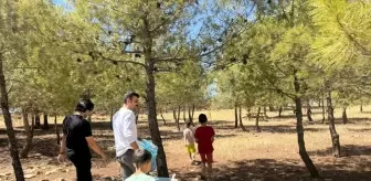 Mardin'de Orman Temizliği Seferberliği Başlatıldı