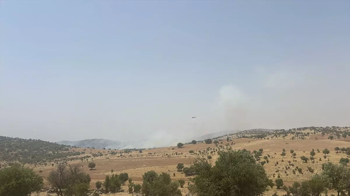 Mardin'de Orman Yangını Kontrol Altına Alındı