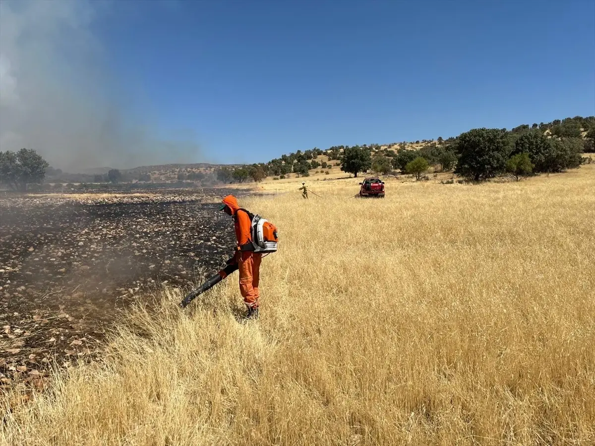 Mardin'in Savur İlçesinde Orman Yangını Kontrol Altına Alındı