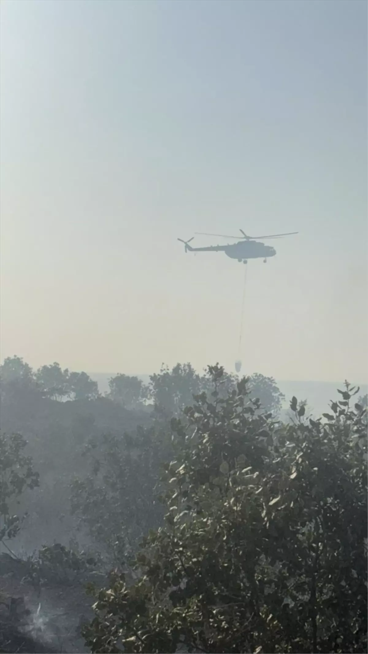Nusaybin'de Orman Yangınına Müdahale Devam Ediyor