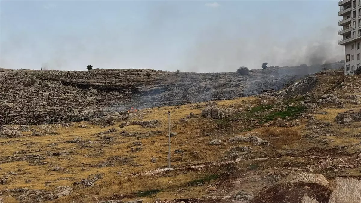 Mardin Artuklu'da Otluk Alanda Yangın Çıktı