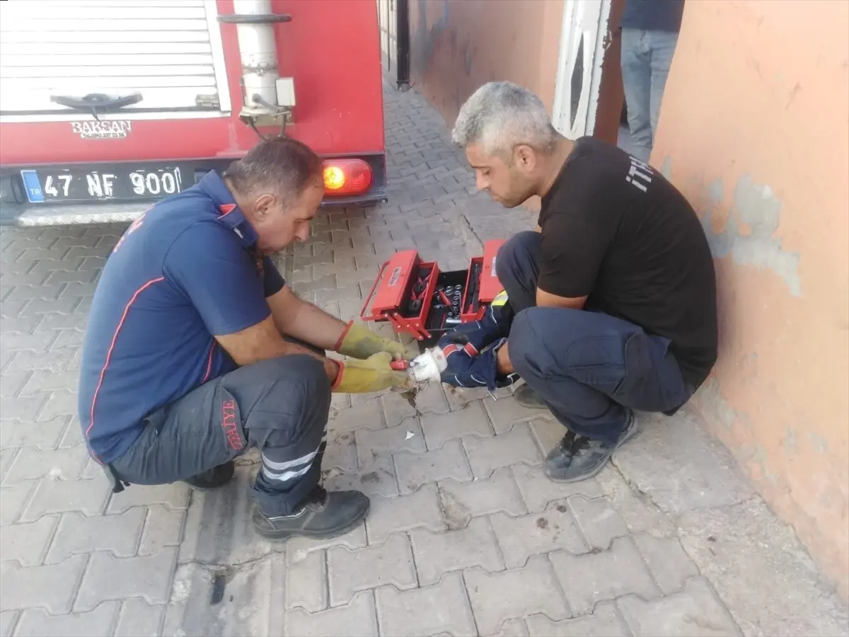 Nusaybin'de Tuvalete Sıkışan Yavru Kedi Kurtarıldı