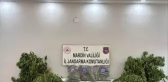 Mardin Derik'te Uyuşturucu Operasyonu: 1 Tutuklama