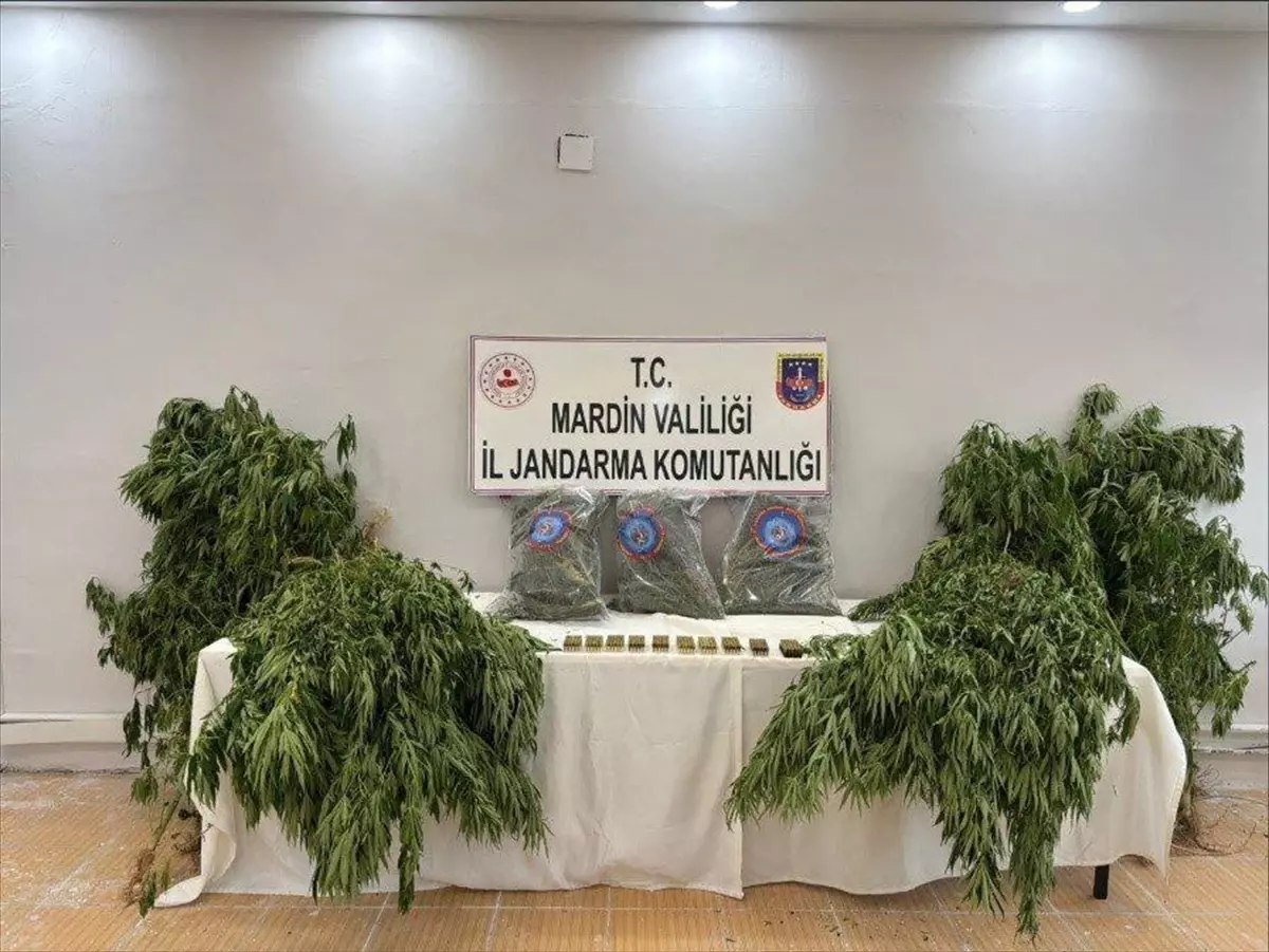 Mardin Derik'te Uyuşturucu Operasyonu: 1 Tutuklama