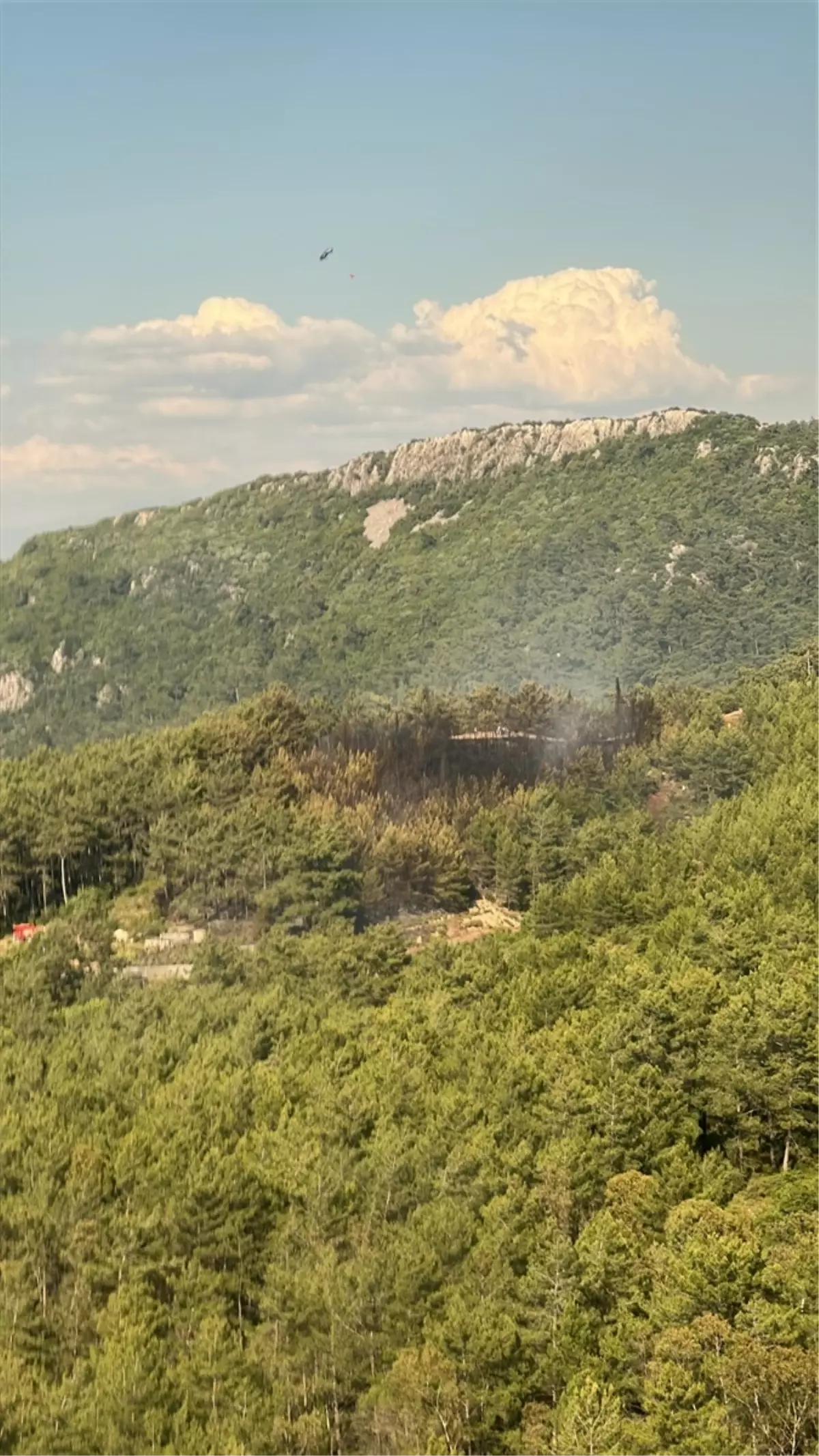 Marmaris'te Orman Yangını Kontrol Altına Alındı