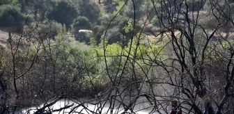 Marmaris'te Orman Yangını Kontrol Altına Alındı