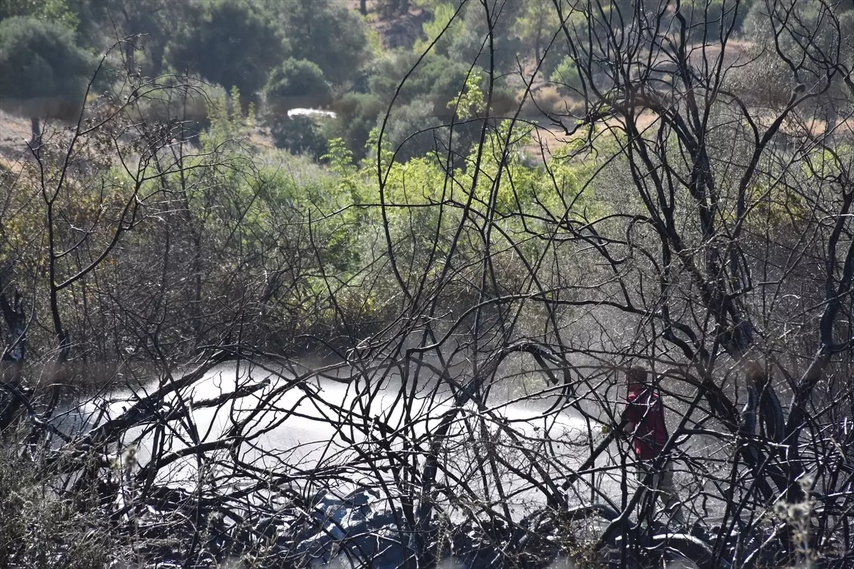 Marmaris'te Orman Yangını Kontrol Altına Alındı