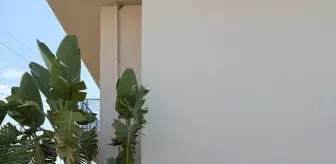 Zafer Süral, MASTOB'un Yeni Başkanı Seçildi